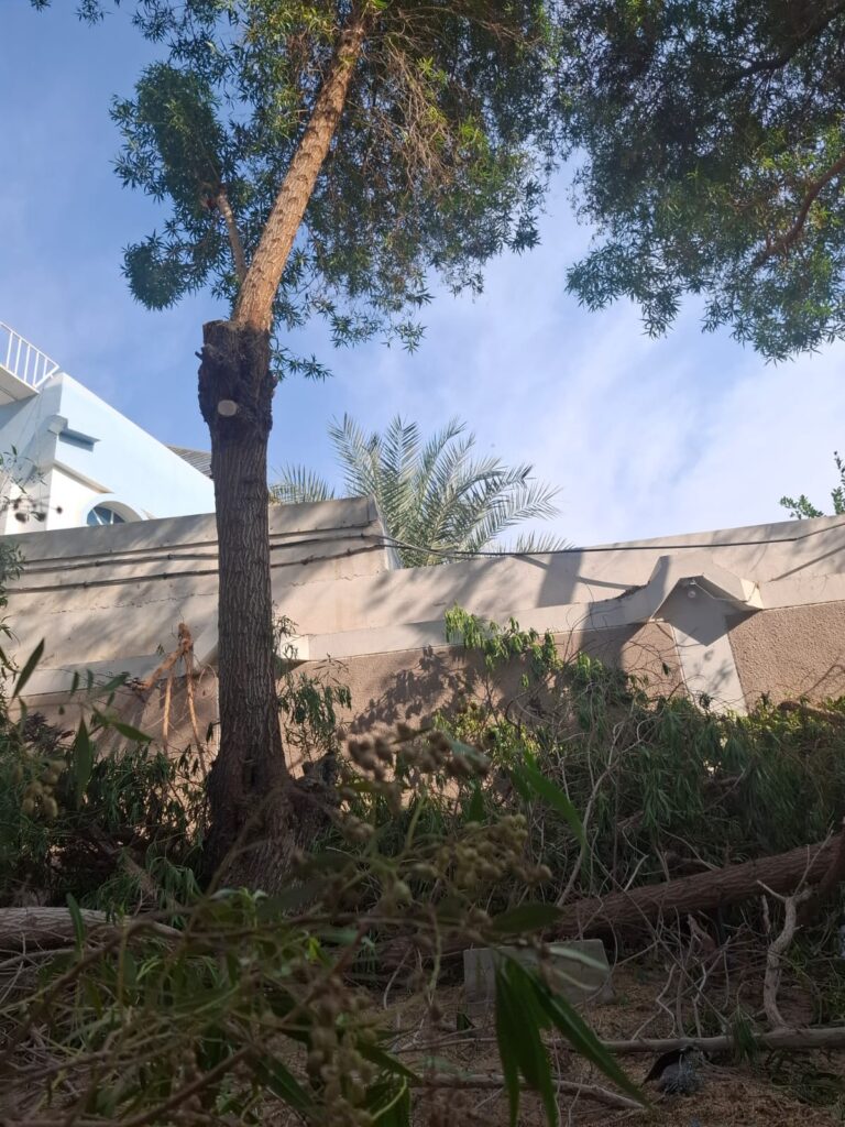 8e4c05f3-6e4d-41de-9ac4-e67eb4bc2f93