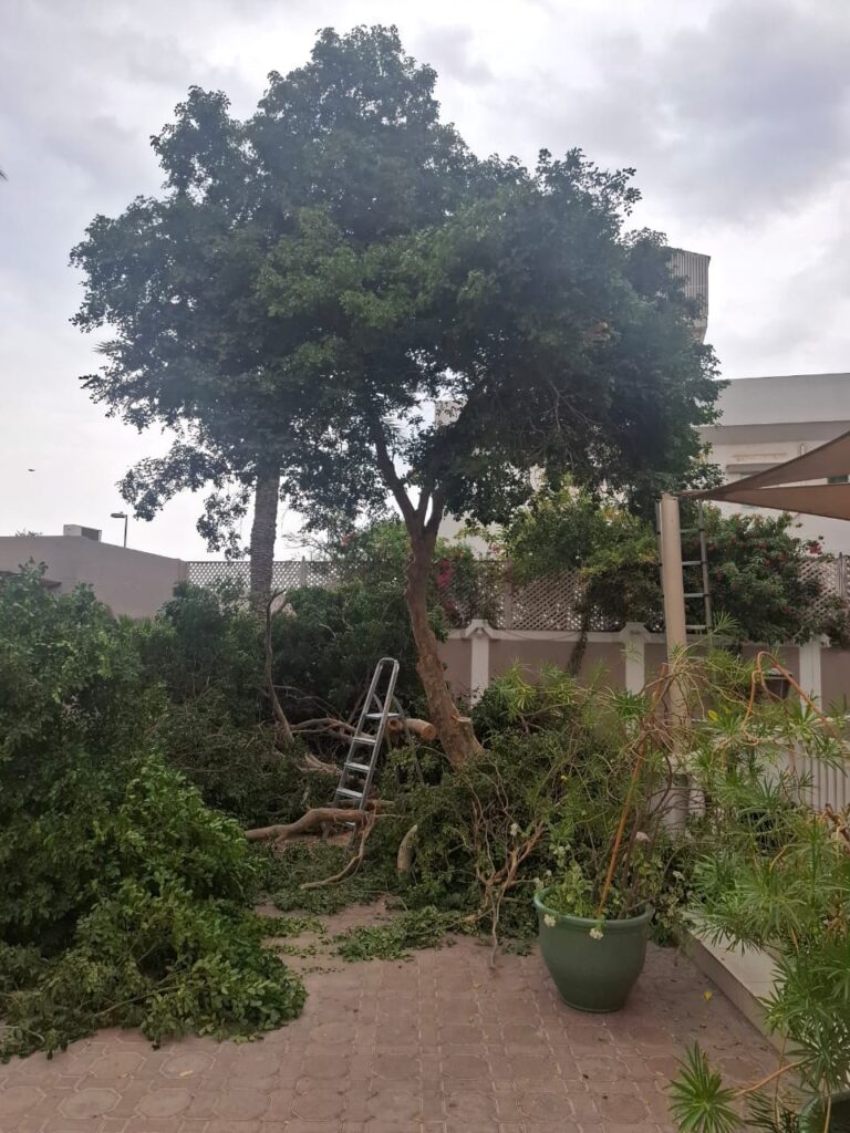 a41310da-087f-45e1-adc4-579064591cfe