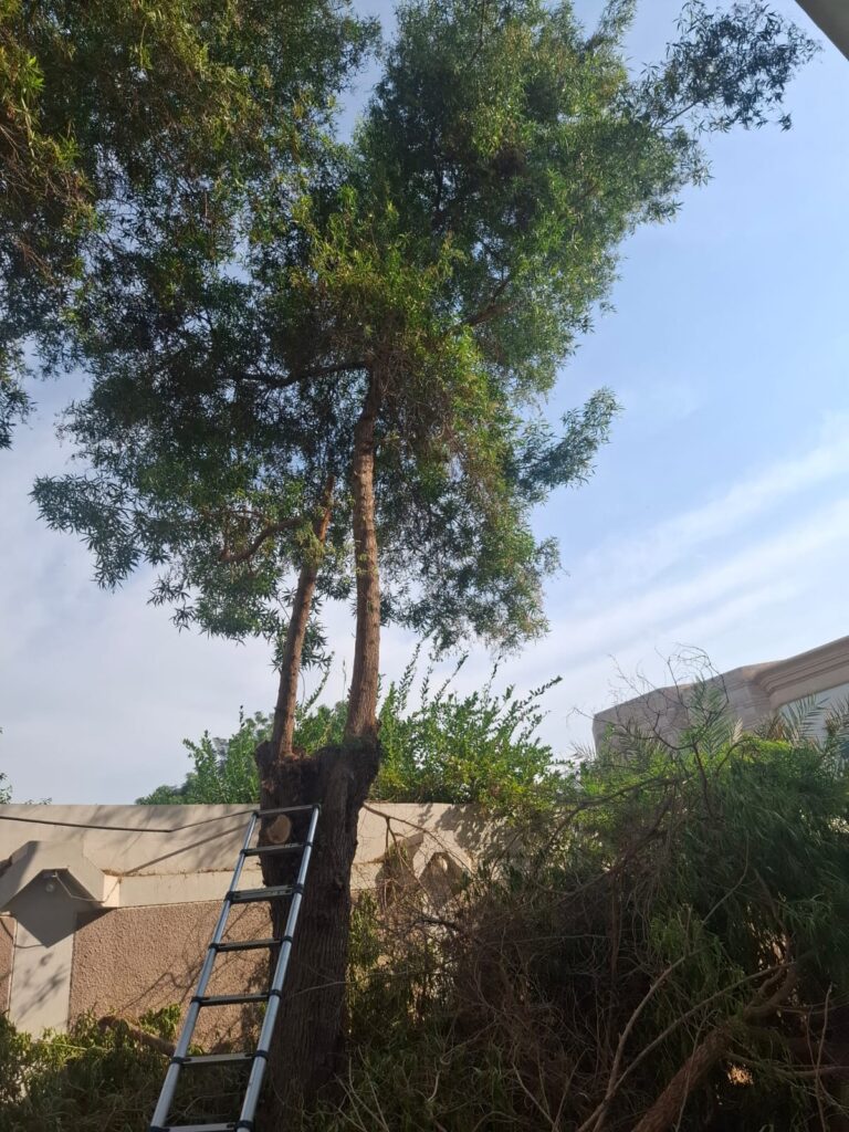 f060fae9-8e8a-4840-8596-599f7e081fbd